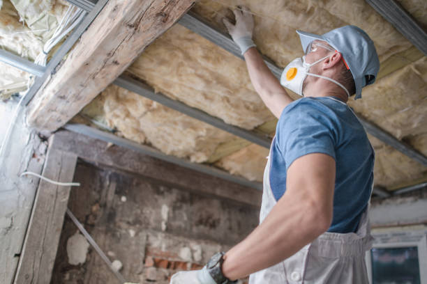 Best Affordable Insulation Services  in USA